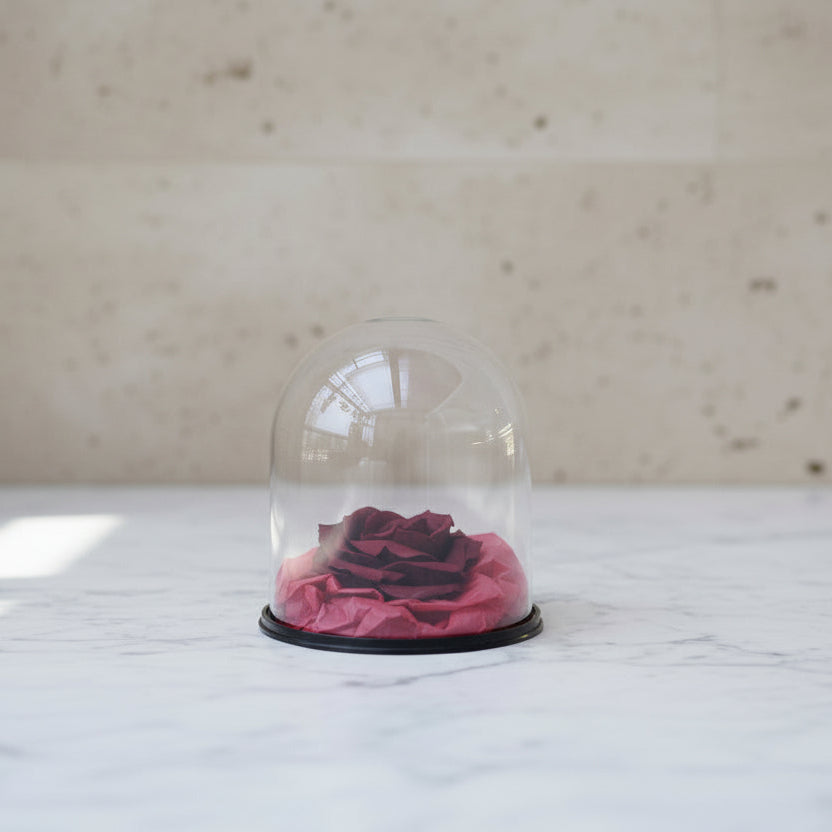 Enchanted Belgian chocolate rose under glass dome luxury gift London